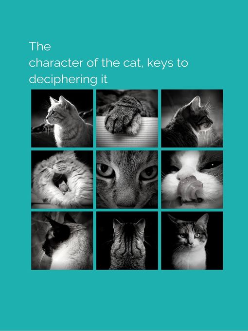 Title details for The character of the cat, keys to deciphering it by Jose Manuel Ferro Veiga - Available